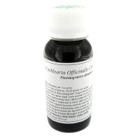 VILLA STODDARD 11N COCHLEARIA OF