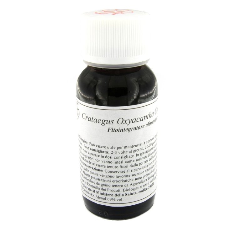 VILLA STODDARD 17S CRATAEGUS OXY