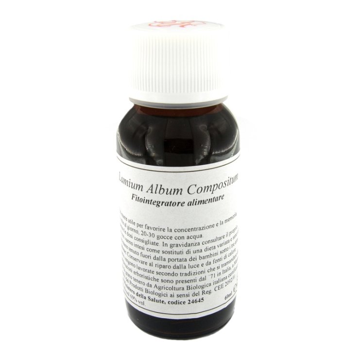 VILLA STODDARD 31S LAMIUM ALBUM