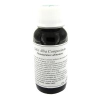 LVS 38N Salix Alba Comp.