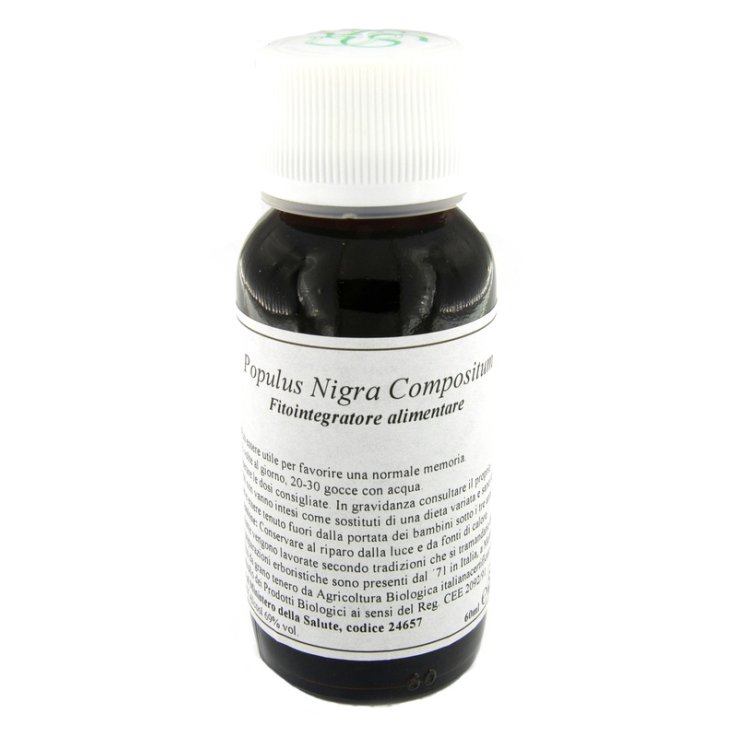 LVS 43N Populus Nigra Comp.