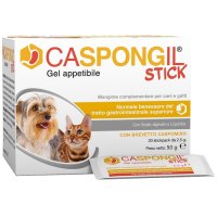 CASPONGIL STICK 20Stick Pack