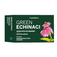 GREEN ECHINACI 36CPS CGN