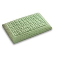 IBIOCUSCINI BIOSQUARE BIG 18