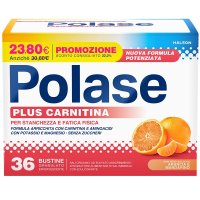 POLASE PLUS CARNITINA PRO36BUS
