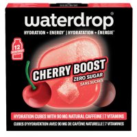 WATERDROP MICROENERGY CHE 12CUB