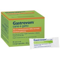 V GASTROVOM 30STICK CANE/GATTO