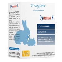 DYNAMO R 20STICK 2 5G