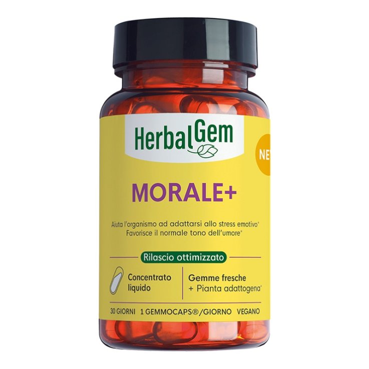 HERBALGEM MORALE+ 30CPS LIQ VEGA