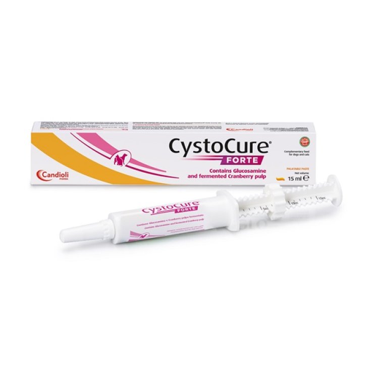 V CYSTOCURE FORTE PASTA 15ML