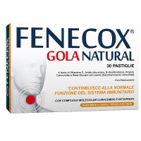 FENECOX Gola Nat.Miele 30Past. FENECOX Gola Nat.Miele 30Past.