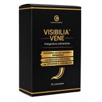 VISIBILIA VENE 30 Cpr Mastic. VISIBILIA VENE 30 Cpr Mastic.