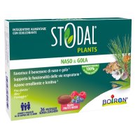 STODAL PLANTS FRUTTI RO 36PAST