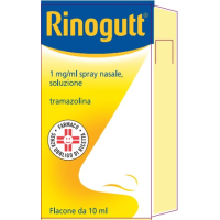 RINOGUTT*SPRAY NASALE 10ML